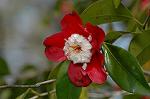 Dcim6797/DSC_8974