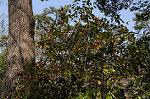 Dcim6798/DSC_2536