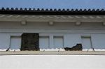 Dcim6798/DSC_2557