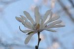 Dcim6800/DSC_9076