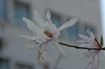 Dcim6800/DSC_9078