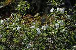 Dcim6802/DSC_2625