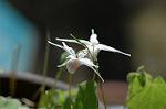 Dcim6802/DSC_9147