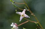 Dcim6802/DSC_9152