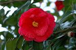 Dcim6802/DSC_9202