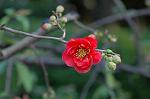 Dcim6803/DSC_9255