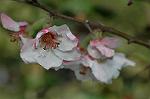 Dcim6803/DSC_9263