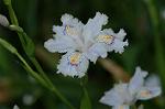 Dcim6803/DSC_9370
