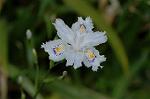 Dcim6803/DSC_9391