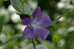 Dcim6817/DSC_9455