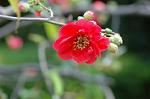 Dcim6817/DSC_9465