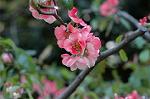 Dcim6817/DSC_9468