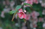 Dcim6817/DSC_9470