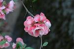 Dcim6817/DSC_9471