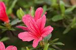 Dcim6817/DSC_9547