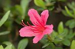 Dcim6817/DSC_9551