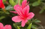 Dcim6817/DSC_9555