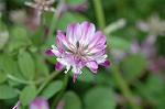 Dcim6818/DSC_9672