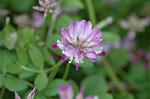 Dcim6818/DSC_9675