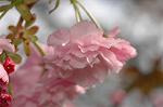 Dcim6819/DSC_9712