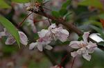 Dcim6819/DSC_9758