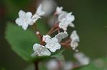 Dcim6819/DSC_9760