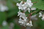 Dcim6819/DSC_9774