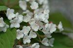 Dcim6819/DSC_9796