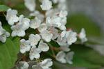 Dcim6819/DSC_9797