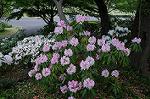 Dcim6820/DSC_3887