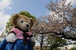 Dcim6820/DSC_3914