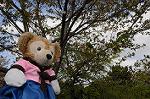 Dcim6821/DSC_3971
