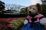 Dcim6821/DSC_3995