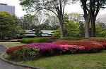 Dcim6821/DSC_4012