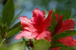 Dcim6822/DSC_9848