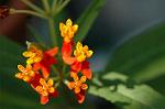Dcim6822/DSC_9948