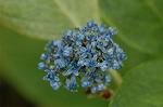 Dcim6822/DSC_9960
