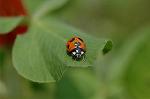 Dcim6824/DSC_0007
