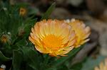 Dcim6824/DSC_0016