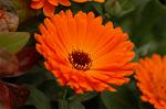 Dcim6824/DSC_0020