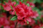 Dcim6824/DSC_0041