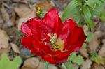 Dcim6824/DSC_0045