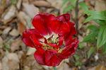 Dcim6824/DSC_0047