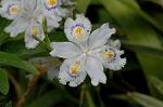 Dcim6824/DSC_0054