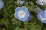 Dcim6824/DSC_0063