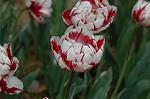 Dcim6824/DSC_0109