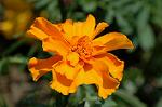 Dcim6824/DSC_9966