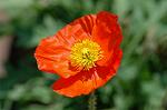 Dcim6824/DSC_9971