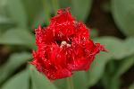 Dcim6825/DSC_0128