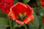 Dcim6825/DSC_0133